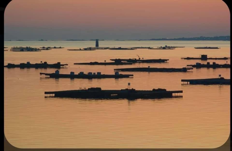 Апартаменты Pretty Progreso Санхенхо Экстерьер фото